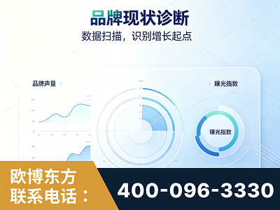 都江堰-品牌现状诊断